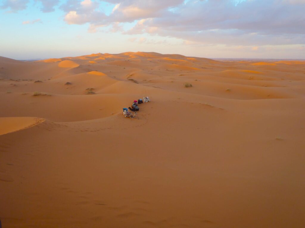Saharah desert in Morocco