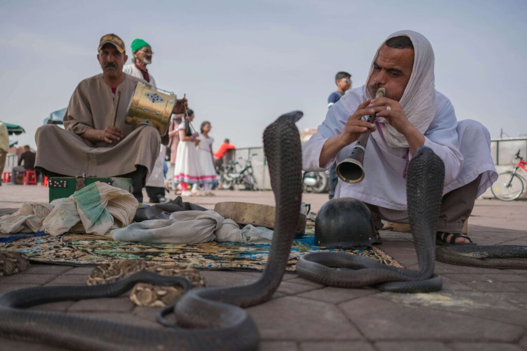 snake charmer